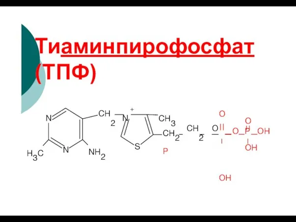 Тиаминпирофосфат (ТПФ) + N N H3C NH2 S CH2 N CH3