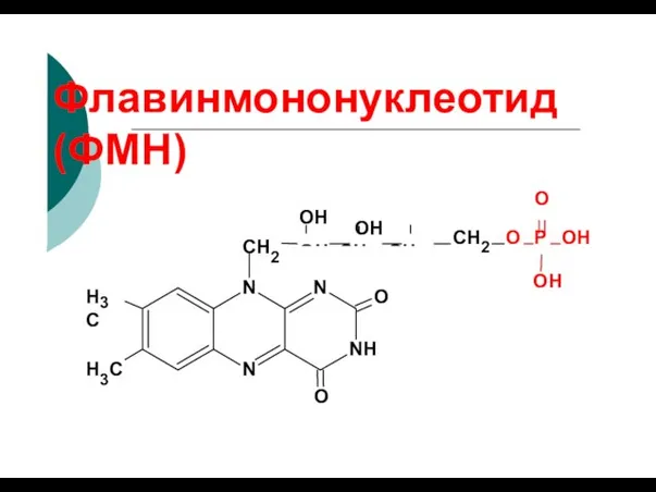 Флавинмононуклеотид (ФМН) OH OH OH CH CH CH N N NH