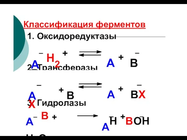 Классификация ферментов 1. Оксидоредуктазы 2. Трансферазы А Н2 + В А