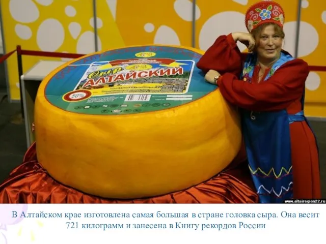 В Алтайском крае изготовлена самая большая в стране головка сыра. Она
