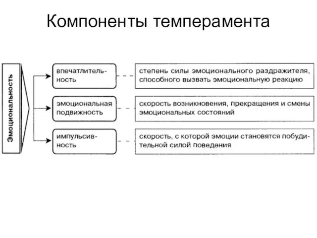 Компоненты темперамента