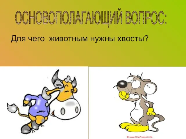 Для чего животным нужны хвосты? ОСНОВОПОЛАГАЮЩИЙ ВОПРОС: