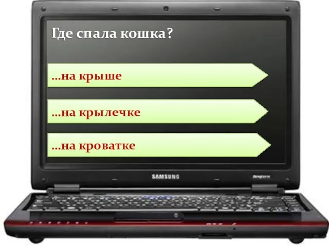 …на крылечке …на кроватке …на крыше Где спала кошка?