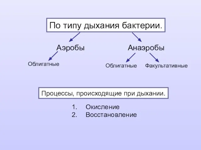 По типу дыхания бактерии. Аэробы Анаэробы Окисление Восстановление Процессы, происходящие при дыхании. Облигатные Облигатные Факультативные