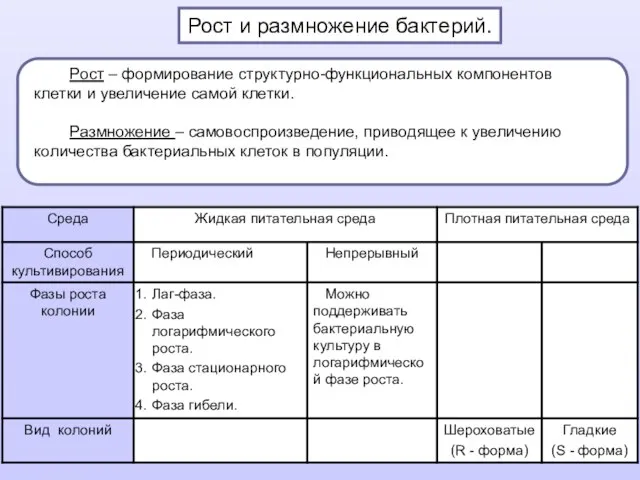 Рост и размножение бактерий. Рост – формирование структурно-функциональных компонентов клетки и