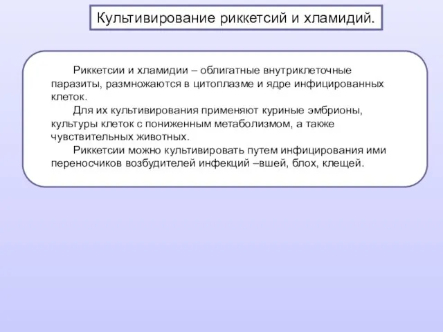 Культивирование риккетсий и хламидий. Риккетсии и хламидии – облигатные внутриклеточные паразиты,