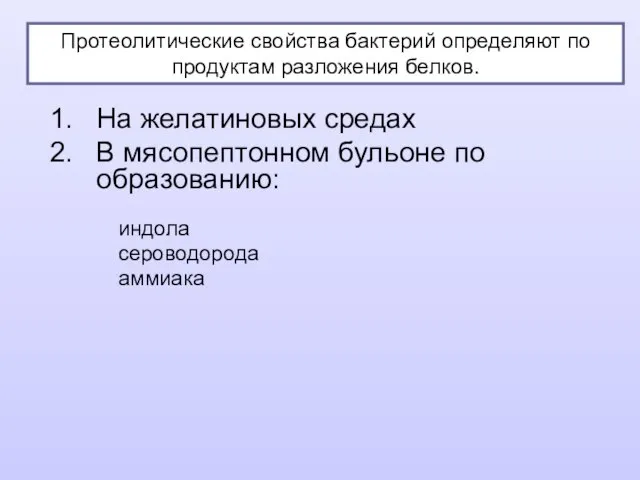 На желатиновых средах В мясопептонном бульоне по образованию: индола сероводорода аммиака