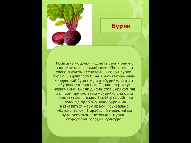 Буряк Російське «буряк» - одне із самих ранніх запозичень з грецької