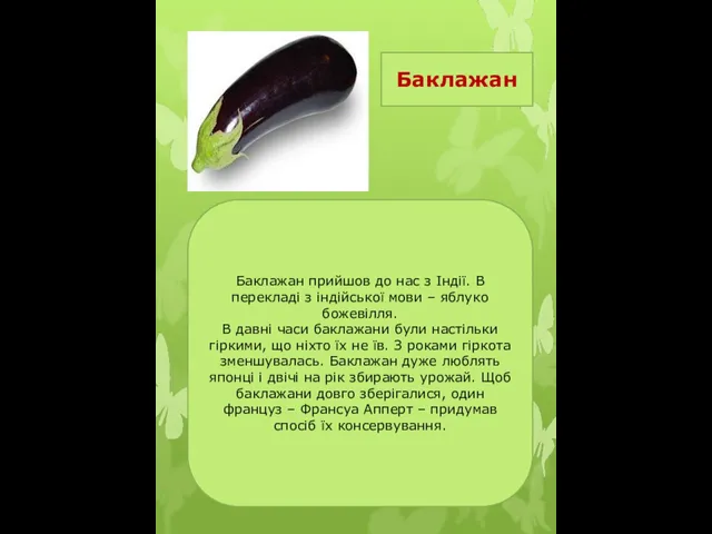 Баклажан Баклажан прийшов до нас з Індії. В перекладі з індійської