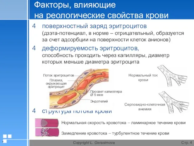 * Copyright L. Gerasimova Стр. поверхностный заряд эритроцитов (дзэта-потенциал, в норме