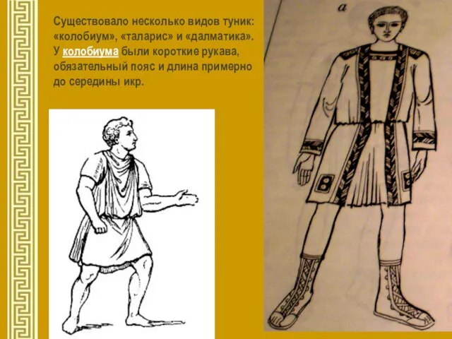 Существовало несколько видов туник: «колобиум», «таларис» и «далматика». У колобиума были