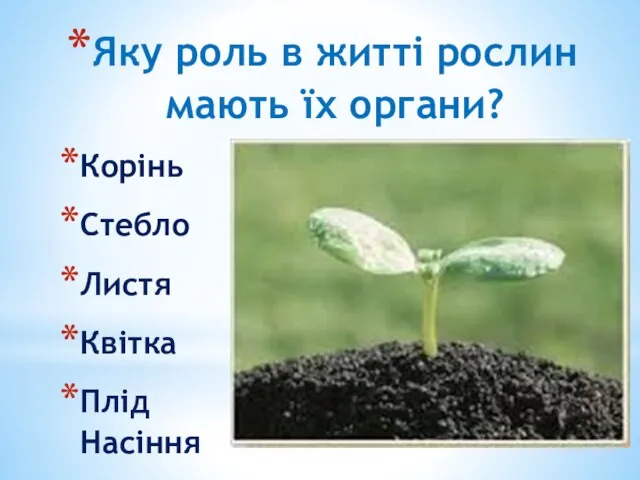 Яку роль в житті рослин мають їх органи? Корінь Стебло Листя Квітка Плід Насіння