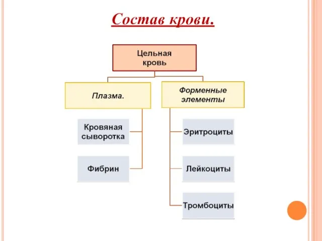 Состав крови.