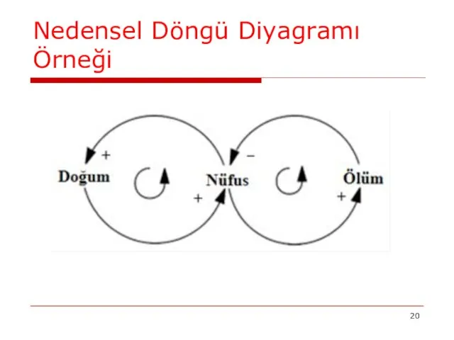 Nedensel Döngü Diyagramı Örneği