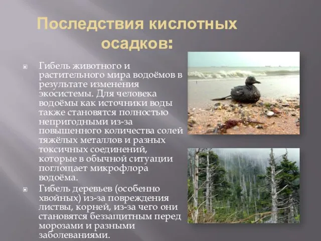 Последствия кислотных осадков: Гибель животного и растительного мира водоёмов в результате