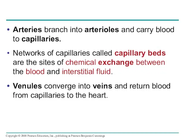 Arteries branch into arterioles and carry blood to capillaries. Networks of