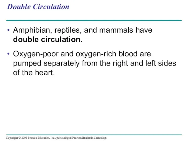 Double Circulation Amphibian, reptiles, and mammals have double circulation. Oxygen-poor and