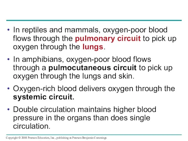 In reptiles and mammals, oxygen-poor blood flows through the pulmonary circuit