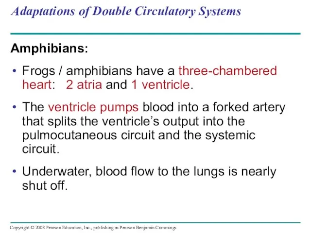 Adaptations of Double Circulatory Systems Amphibians: Frogs / amphibians have a