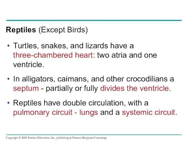 Reptiles (Except Birds) Turtles, snakes, and lizards have a three-chambered heart: