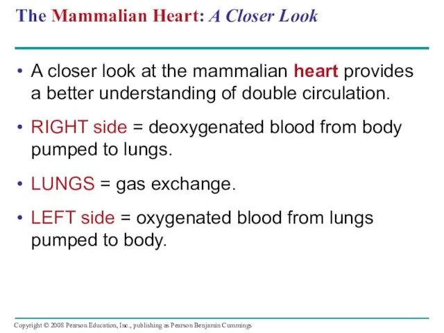 The Mammalian Heart: A Closer Look A closer look at the