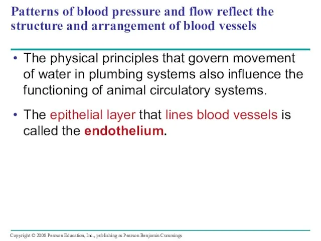 Patterns of blood pressure and flow reflect the structure and arrangement