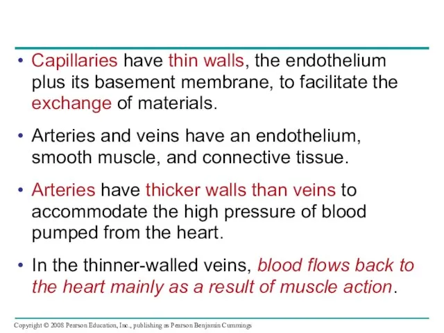 Capillaries have thin walls, the endothelium plus its basement membrane, to