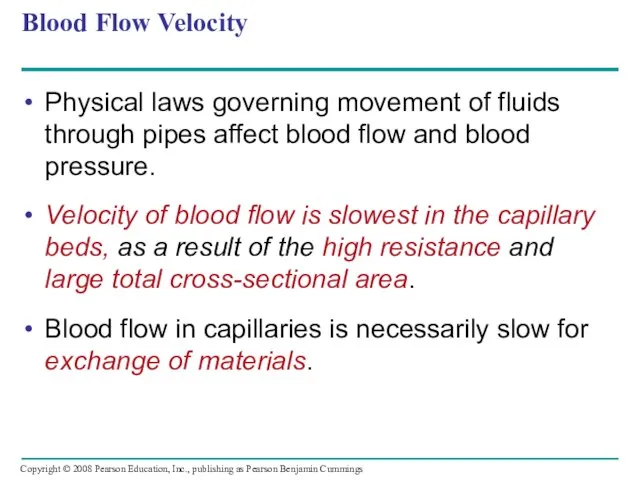 Blood Flow Velocity Physical laws governing movement of fluids through pipes