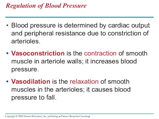 Regulation of Blood Pressure Blood pressure is determined by cardiac output