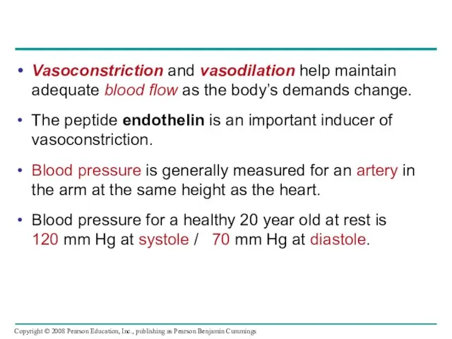 Vasoconstriction and vasodilation help maintain adequate blood flow as the body’s