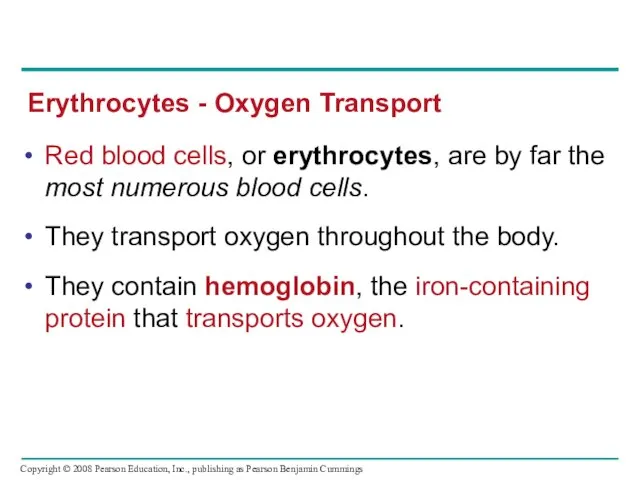 Red blood cells, or erythrocytes, are by far the most numerous