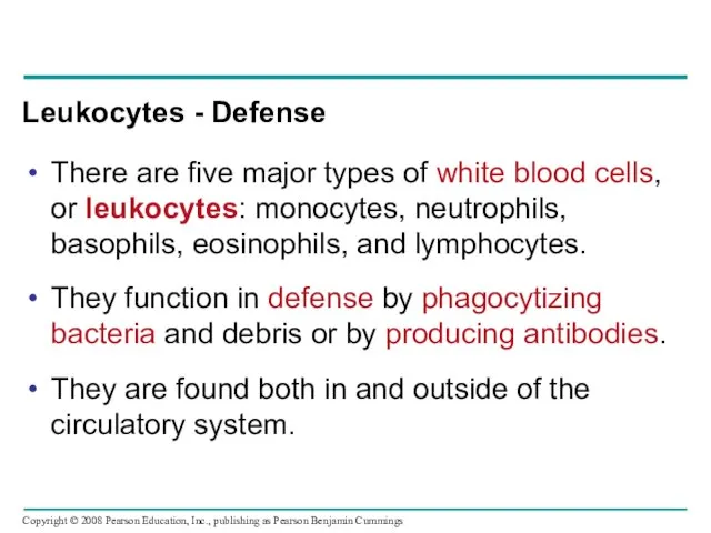 Leukocytes - Defense There are five major types of white blood