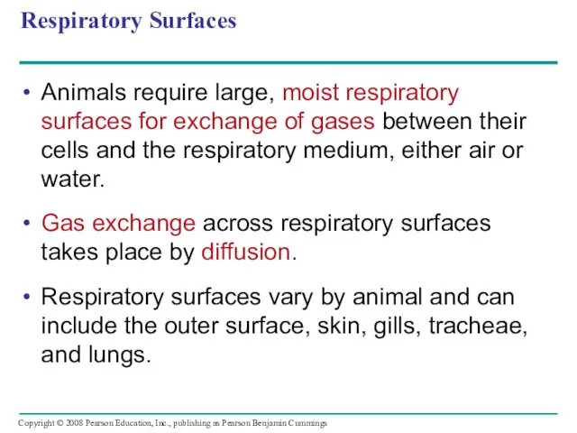 Respiratory Surfaces Animals require large, moist respiratory surfaces for exchange of