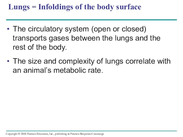 Lungs = Infoldings of the body surface The circulatory system (open