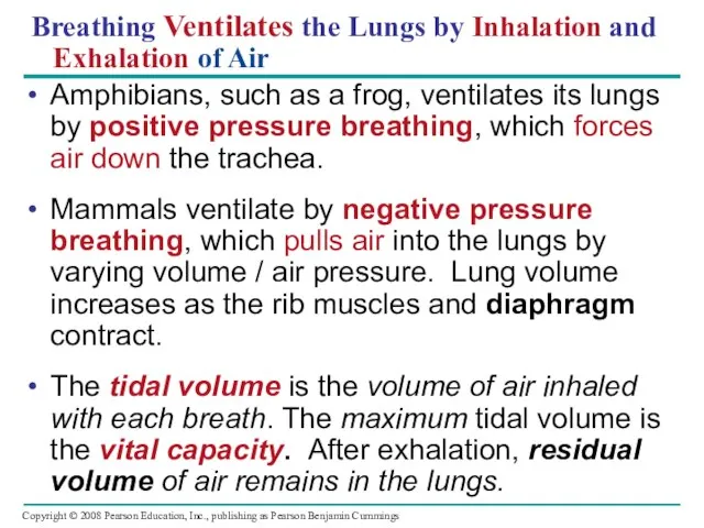 Breathing Ventilates the Lungs by Inhalation and Exhalation of Air Amphibians,