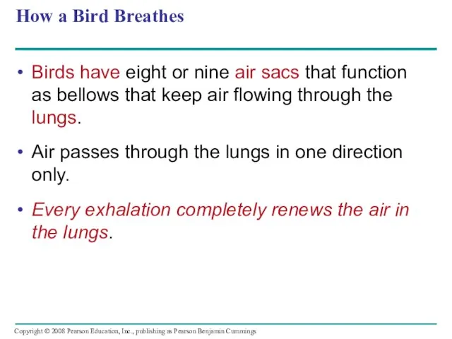 How a Bird Breathes Birds have eight or nine air sacs