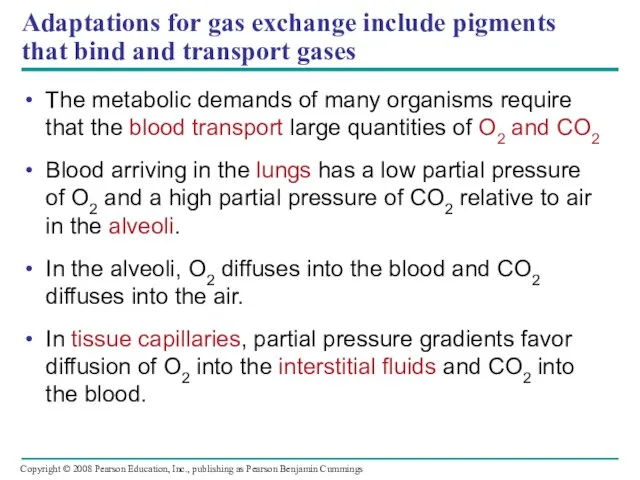 Adaptations for gas exchange include pigments that bind and transport gases