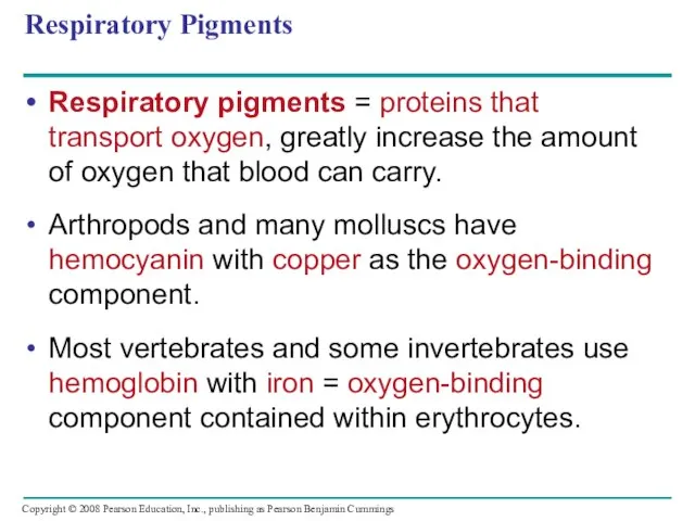 Respiratory Pigments Respiratory pigments = proteins that transport oxygen, greatly increase