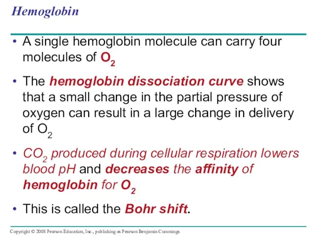 Hemoglobin A single hemoglobin molecule can carry four molecules of O2