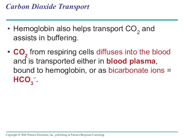 Carbon Dioxide Transport Hemoglobin also helps transport CO2 and assists in