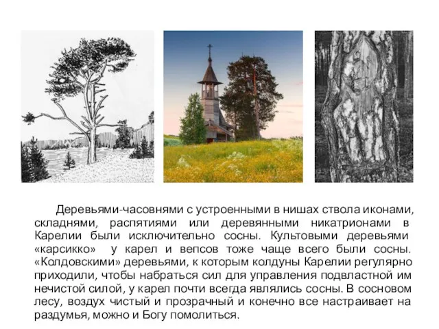 Деревьями-часовнями с устроенными в нишах ствола иконами, складнями, распятиями или деревянными