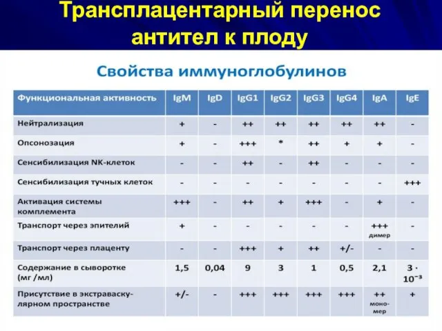 Трансплацентарный перенос антител к плоду