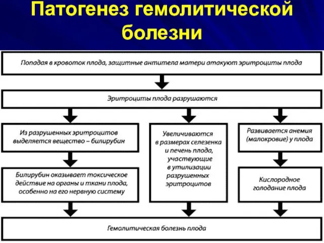 Патогенез гемолитической болезни