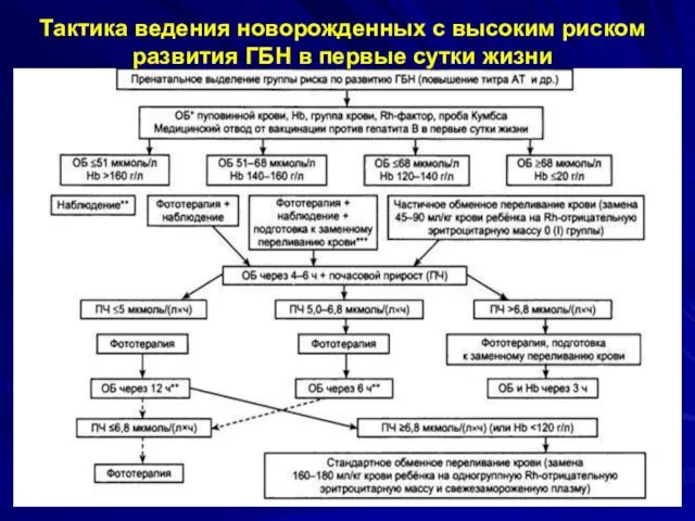 Тактика ведения новорожденных с высоким риском развития ГБН в первые сутки жизни