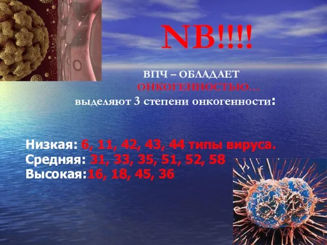 NB!!!! ВПЧ – ОБЛАДАЕТ ОНКОГЕННОСТЬЮ… выделяют 3 степени онкогенности: Низкая: 6,