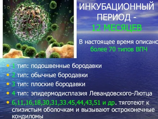 ИНКУБАЦИОННЫЙ ПЕРИОД - 12 МЕСЯЦЕВ 1 тип: подошвенные бородавки 2 тип: