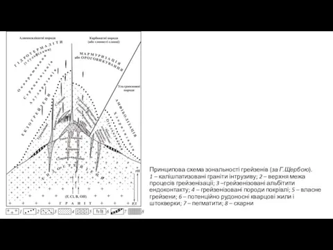 Принципова схема зональності грейзенів (за Г.Щербою). 1 – калішпатизовані граніти інтрузиву;