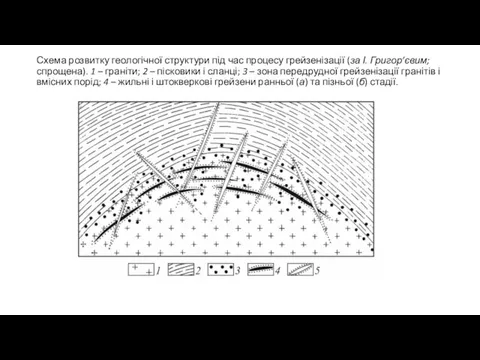 Схема розвитку геологічної структури під час процесу грейзенізації (за І. Григор’євим;