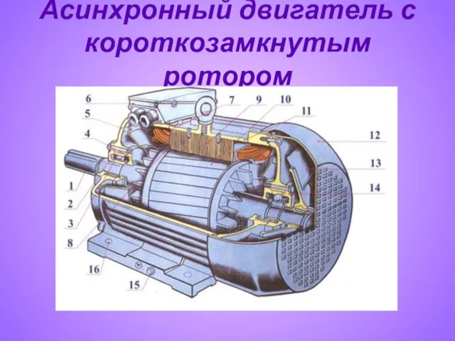 Асинхронный двигатель с короткозамкнутым ротором