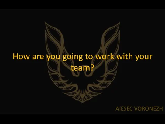 AIESEC VORONEZH How are you going to work with your team?